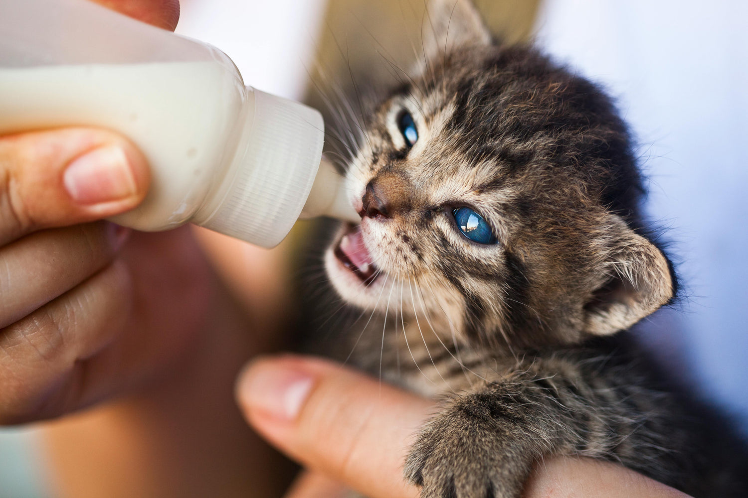 Milk e svezzamento