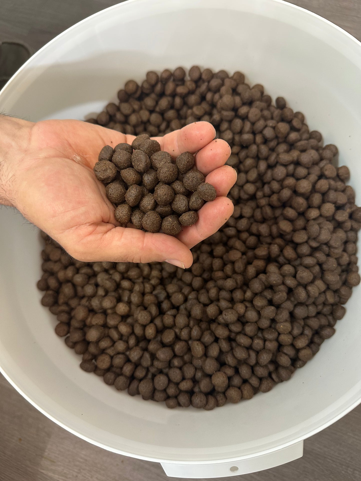 Cibo per cani olistico adulto taglia grande all’agnello e coniglio – Ipoallergenico – Natar