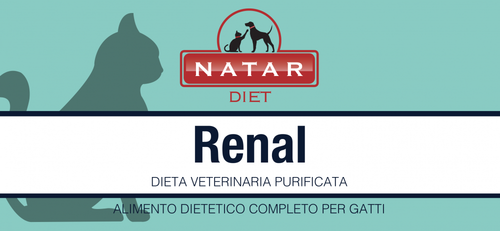 Diet Renal Gatto